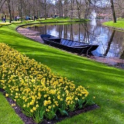 Keukenhof Garden, Lisse, Netherlands 9181607.jpg