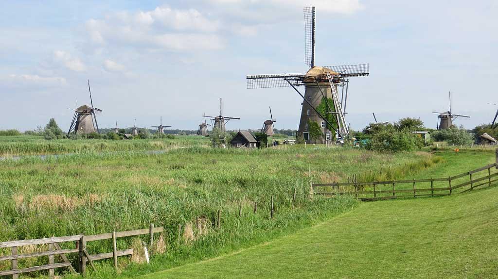Kinderdijk fields