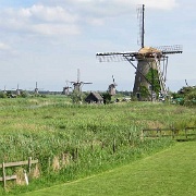 Kinderdijk fields.jpg