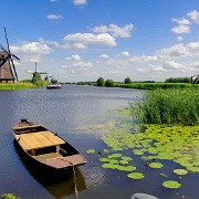 Kinderdijk windmills, near Rotterdam  6533639.jpg