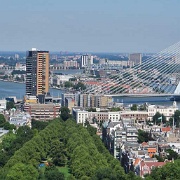 Rotterdam and the Erasmus Bridge.jpg
