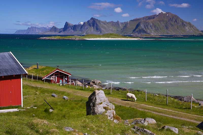 Lofoten Islands, Norway 10371164