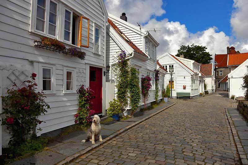 Gamle Stavanger, traditional wooden houses 6925252