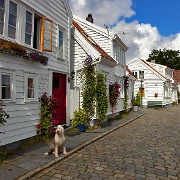 Gamle Stavanger, traditional wooden houses 6925252.jpg