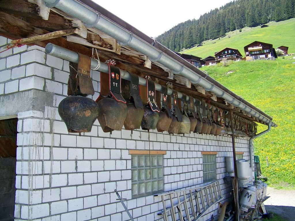 Cowbells, Gimmelwald, Switzerland 376