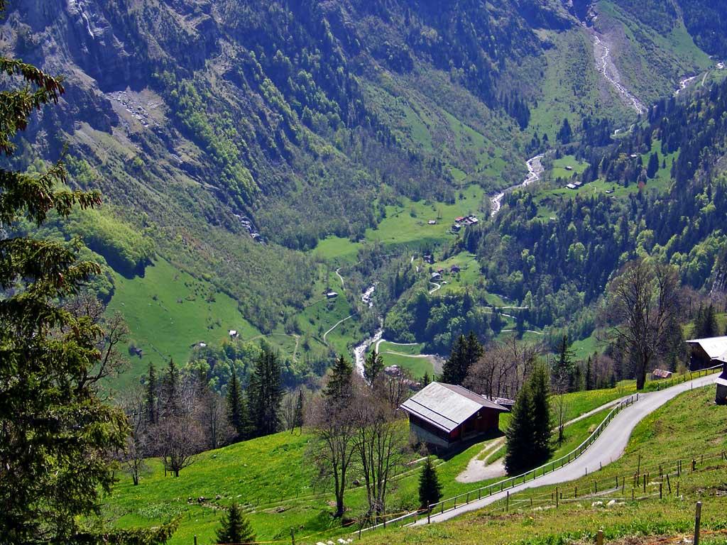 Walk from Murren to Gimmelwald, Switzerland 383