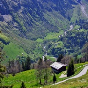 Walk from Murren to Gimmelwald, Switzerland 383.JPG