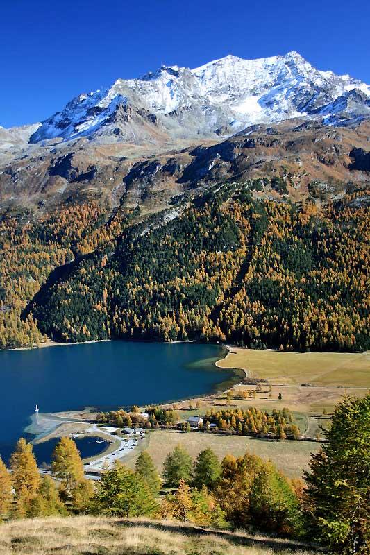 View to lake Silvaplana in Engadin Valley, Switzerland 0892588