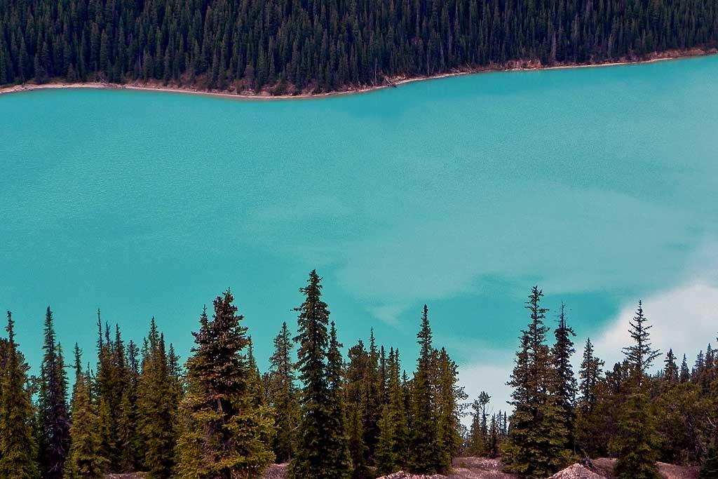 Peyto Lake, Banff National Park
