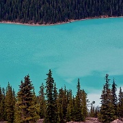 Peyto Lake, Banff National Park.jpg