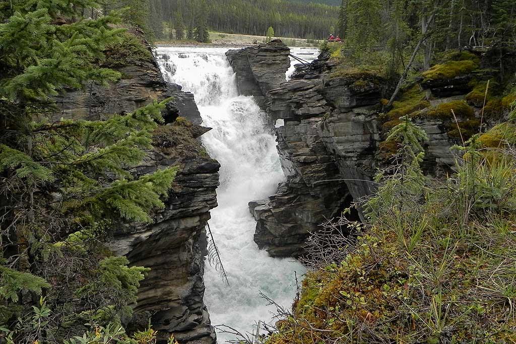 Athabasca Falls, Jasper National Park 3