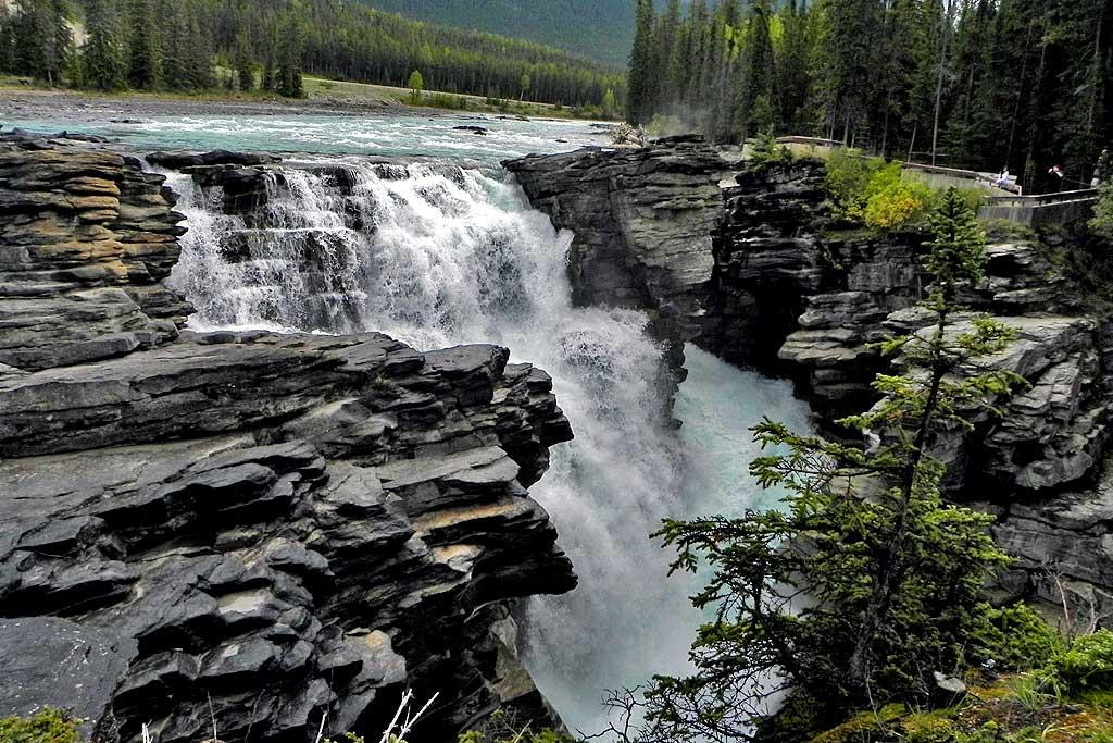 Athabasca Falls, Jasper National Park 7
