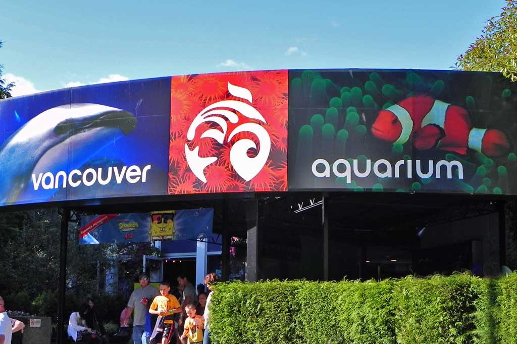 Vancouver Aquarium 1
