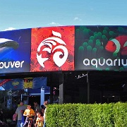 Vancouver Aquarium 1.JPG