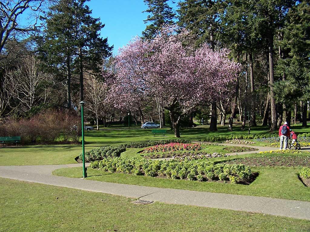 Beacon Hill Park in February, Victoria, BC 111