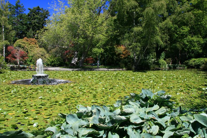 Fountain Lake, Beacon Hill Park, Victoria, BC 6344088