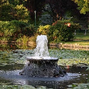 Fountain Lake, Beacon Hill Park, Victoria, BC 114.JPG