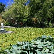 Fountain Lake, Beacon Hill Park, Victoria, BC 6344088.jpg