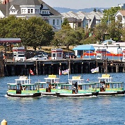 Water taxi performance, inner harbor, Victoria, BC 117.JPG