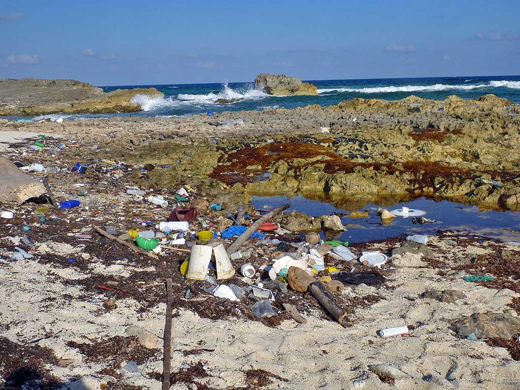 Plastic garbage drifting from Caribbean to Cozumel 22
