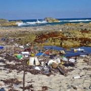 Plastic garbage drifting from Caribbean to Cozumel 22.JPG