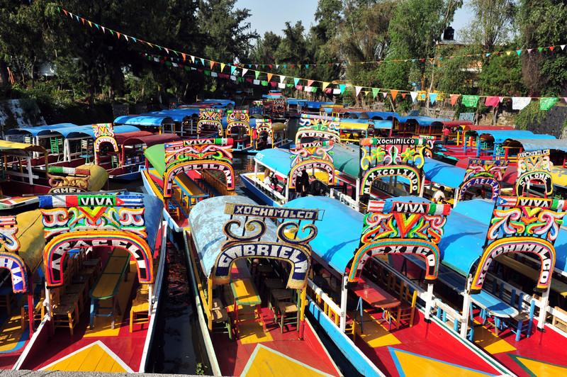 Xochimilco's Floating Gardens, Mexico City 8222383