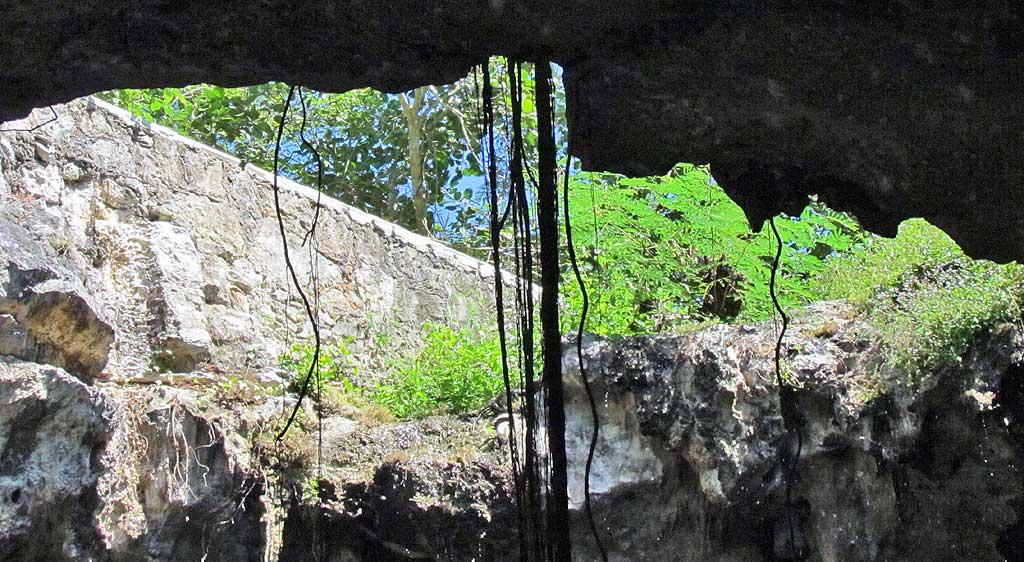 Cenote Hubiku, hole at top where freshwater enters 03