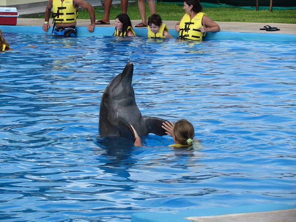 Gran Bahia Principe Tulum - dolphinarium 10