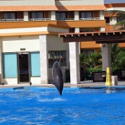 Gran Bahia Principe Tulum - dolphinarium 12.JPG