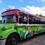 Xel-Ha bus, Riviera Maya 01.JPG