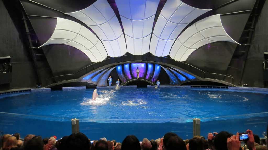 Dolphin Show, Georgia Aquarium 7589