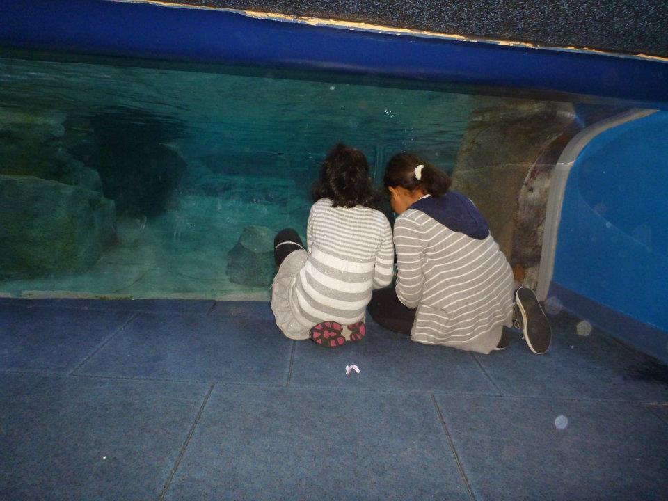 Kids crawling through exhibits, Georgia Aquarium 20