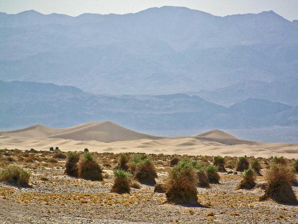 Mesquite Flats Sand Dunes, Death Valley 4
