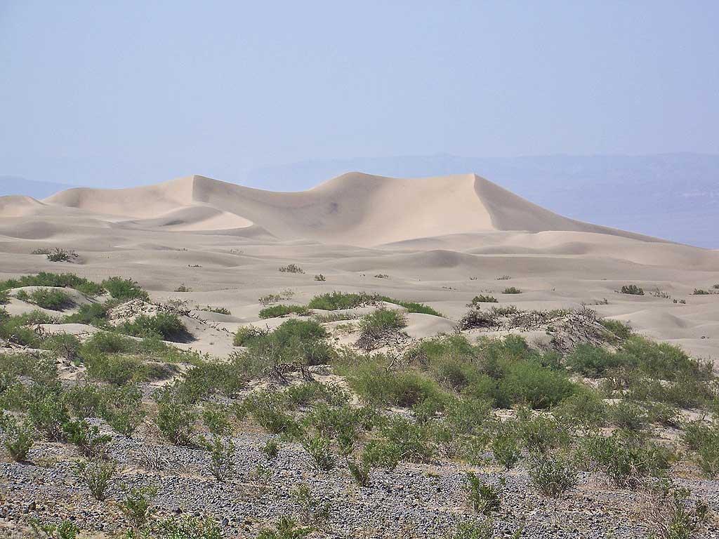 Mesquite Flats Sand Dunes, Death Valley 5