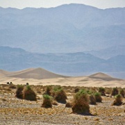 Mesquite Flats Sand Dunes, Death Valley 4.jpg