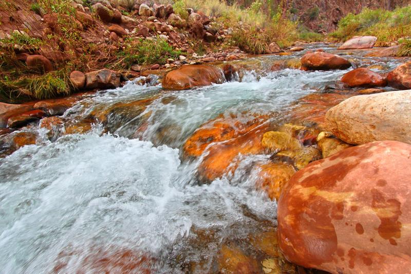 Bright Angel Creek in Grand Canyon National Park 15085405