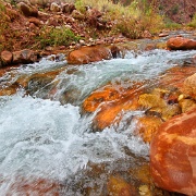 Bright Angel Creek in Grand Canyon National Park 15085405.jpg