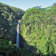 Akaka Falls.jpg