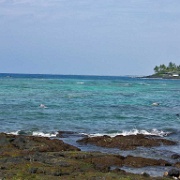 Snorkelers, Kahaluu Bay.jpg