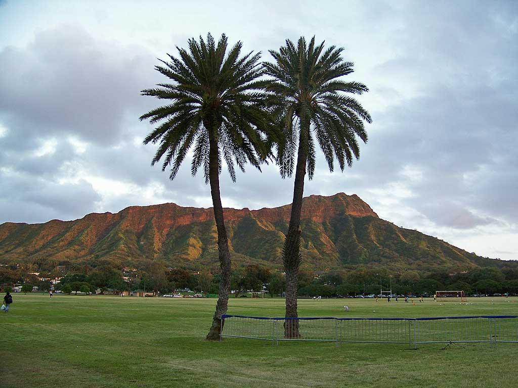 Kapiolani Park, Waikiki 2