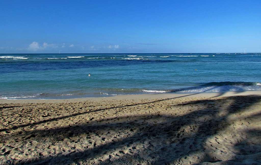Waikiki beach, Oahu 5290