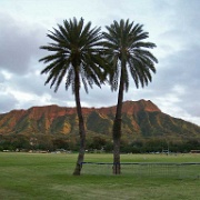 Kapiolani Park, Waikiki 2.jpg