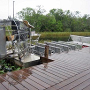 Everglades Airboat near Miami 106.JPG