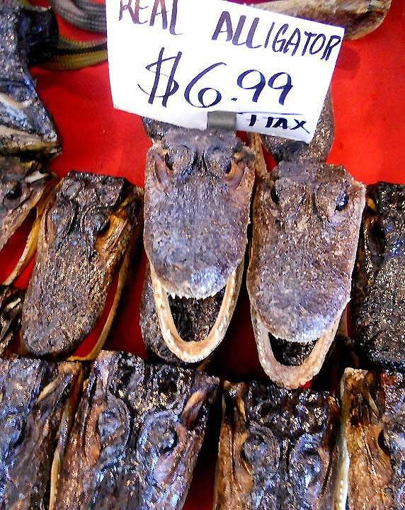 Aligator souvenirs, New Orleans 99f