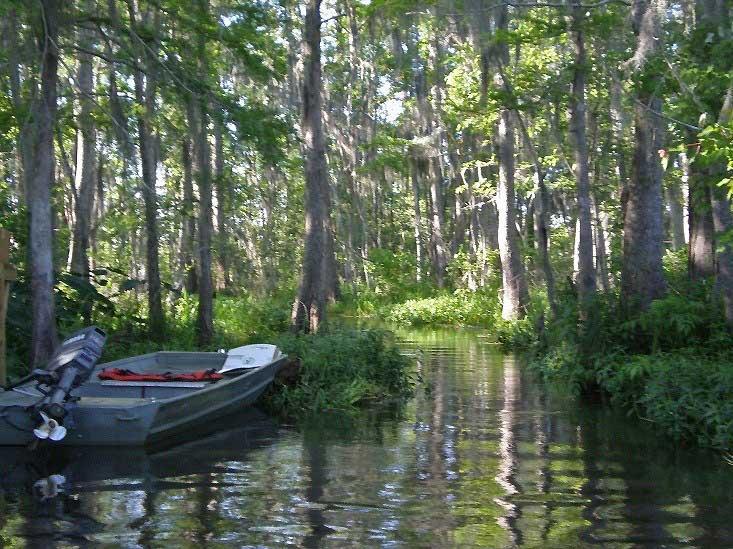 Bayou Touring, New Orleans 99g