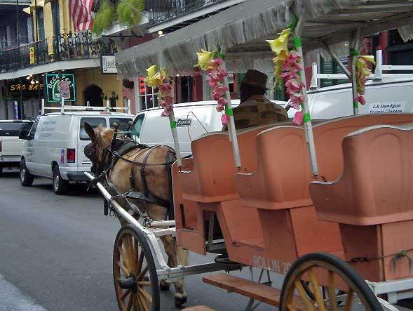 Carriage Tours, New Orleans 95
