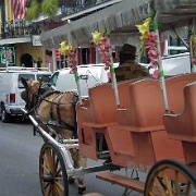 Carriage Tours, New Orleans 95.jpg
