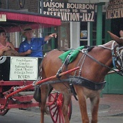 Carriage Tours, New Orleans 96.jpg