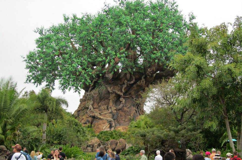 The Tree of Life - Disney Animal Kingdom 207