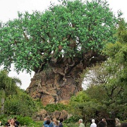 The Tree of Life - Disney Animal Kingdom 207.jpg